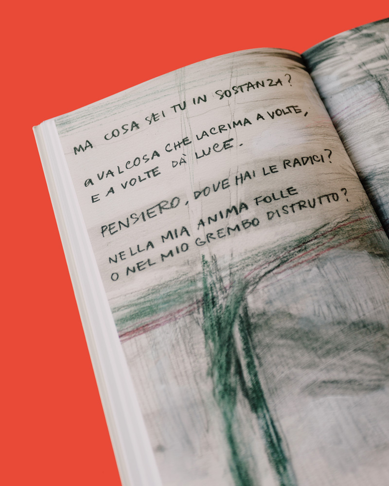 Alda Merini, libro illustrato Becco Giallo editore
