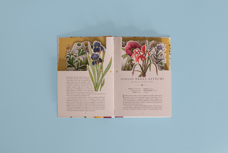 I fiori: un libro che si trasforma in un'opera d'arte