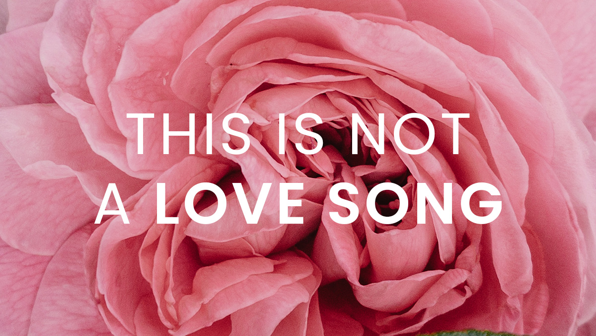This is not a love song - le rose son stanche di parlar d'amore, anche in musica